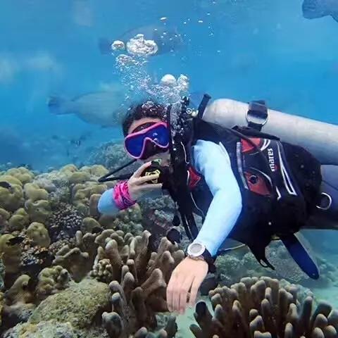 守护飞行城堡